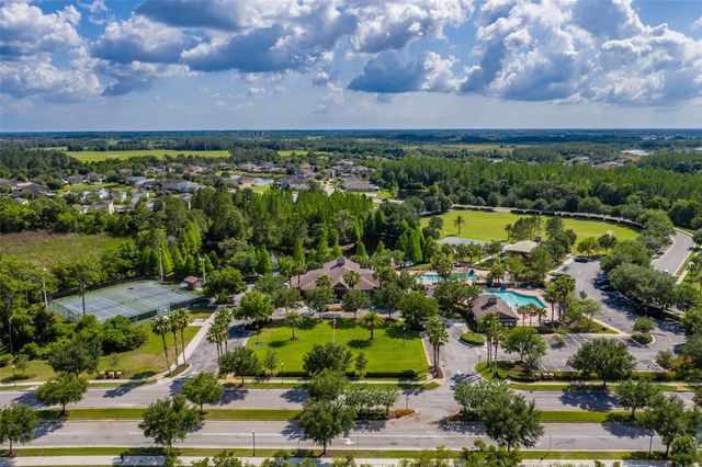 4950 DIAMONDS PALM, Wesley Chapel, FL 33543