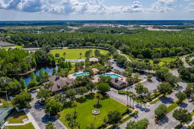 4950 DIAMONDS PALM, Wesley Chapel, FL 33543