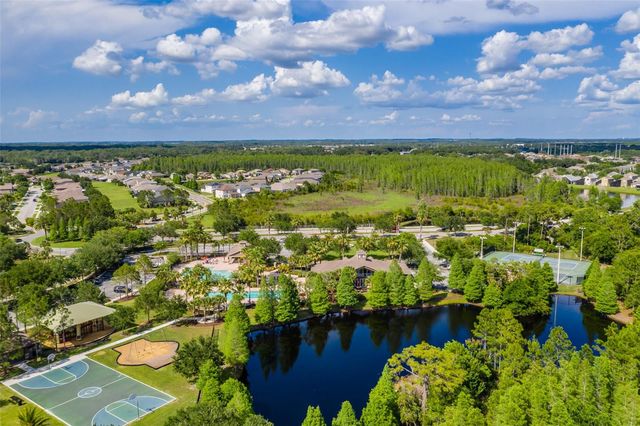 4950 DIAMONDS PALM, Wesley Chapel, FL 33543