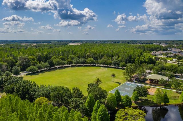 4950 DIAMONDS PALM, Wesley Chapel, FL 33543