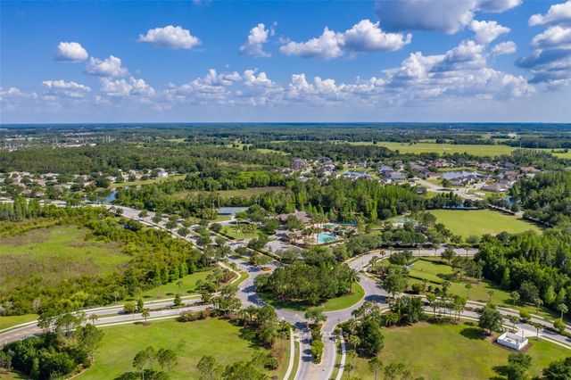 4950 DIAMONDS PALM, Wesley Chapel, FL 33543