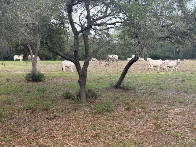 4149 County Road 444, Hallettsville, TX 77964