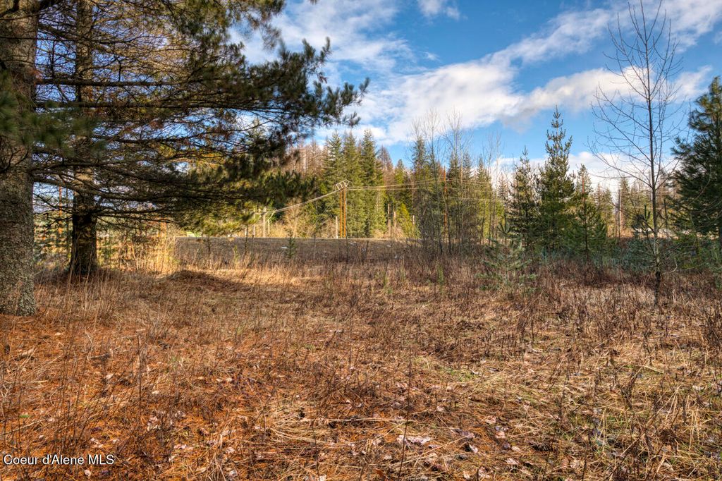 64 W Bronx Rd, Sandpoint, ID 83864 photo 10