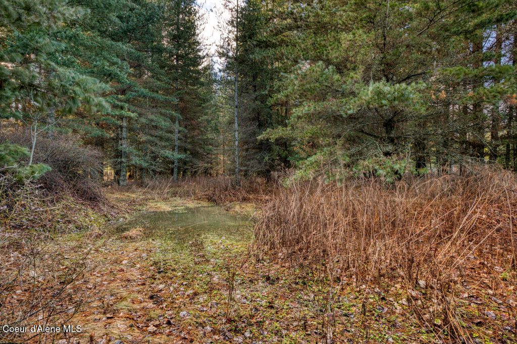 64 W Bronx Rd, Sandpoint, ID 83864 photo 12