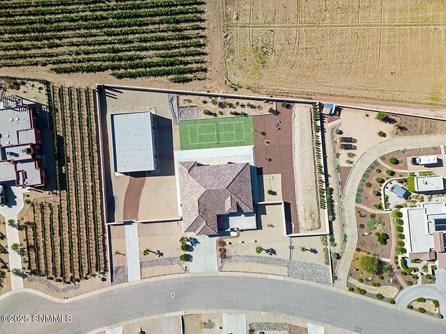 4425 Dulcinea Drive, Las Cruces, NM 88005