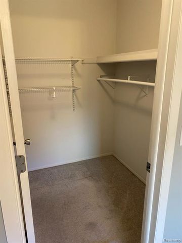 20404 Birch Meadow Drive, Clinton Township, MI 48036