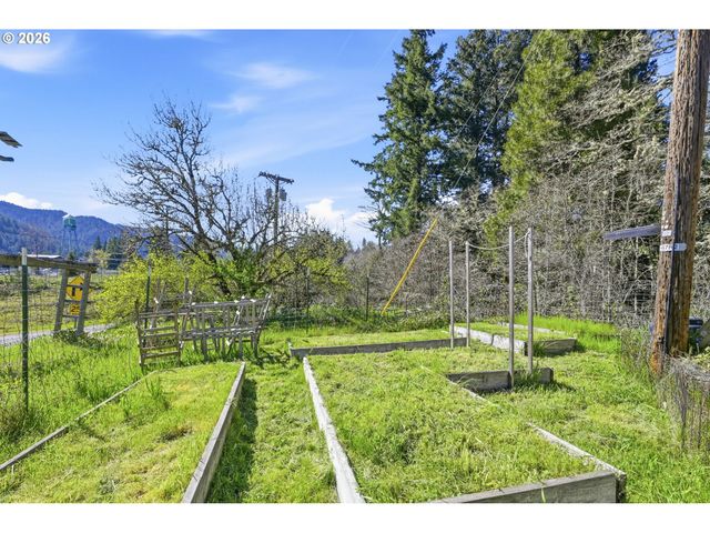 76113 FISH HATCHERY Rd, Oakridge, OR 97463
