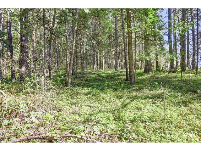 76113 FISH HATCHERY Rd, Oakridge, OR 97463