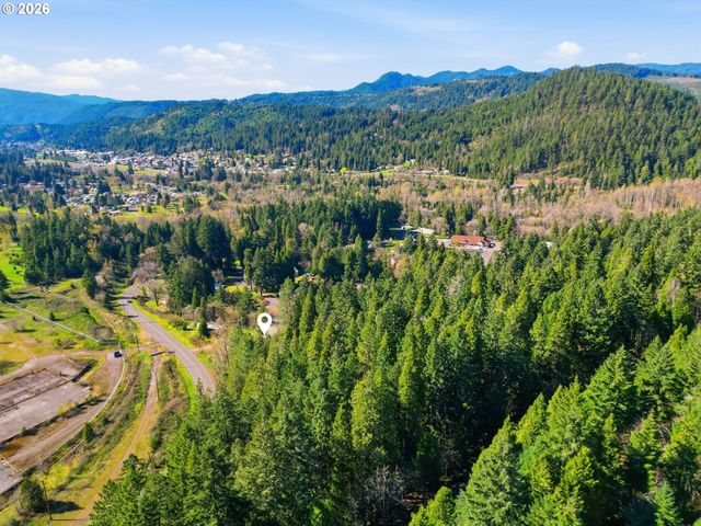 76113 FISH HATCHERY Rd, Oakridge, OR 97463