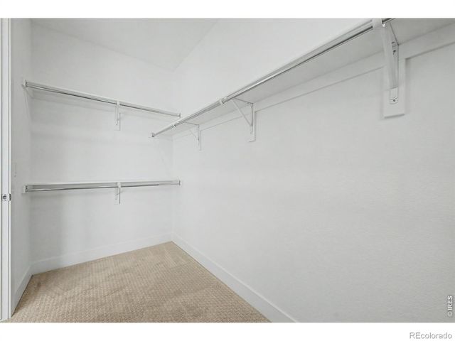 689 Saddle Drive, Erie, CO 80516