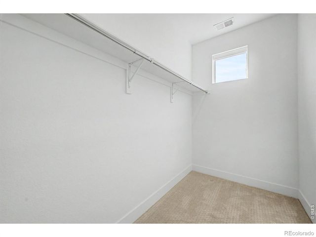 689 Saddle Drive, Erie, CO 80516