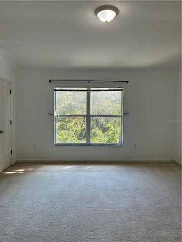 1110 SLEEPY OAK DR, Wesley Chapel, FL 33543