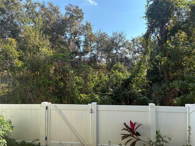 1110 SLEEPY OAK DR, Wesley Chapel, FL 33543