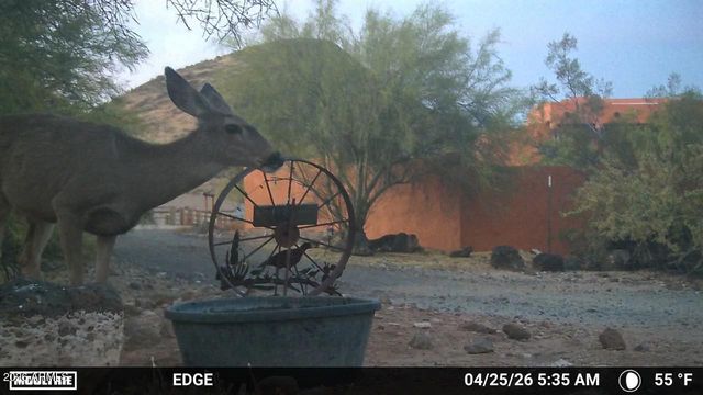 2244 E CAVALRY Road, New River, AZ 85087