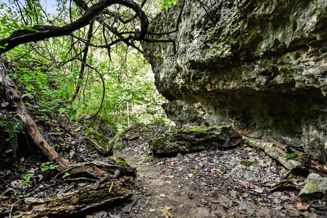 TBD McGregor LN, Dripping Springs, TX 78620