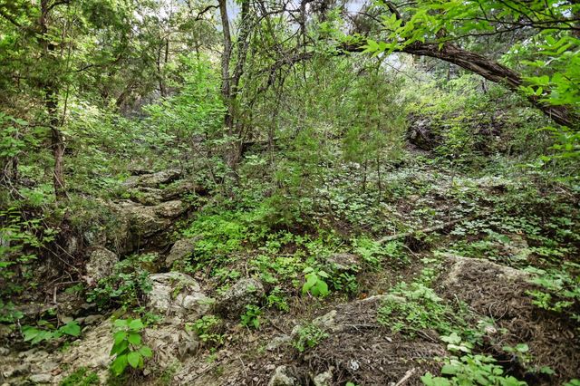 TBD McGregor LN, Dripping Springs, TX 78620