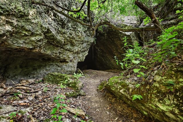 TBD McGregor LN, Dripping Springs, TX 78620