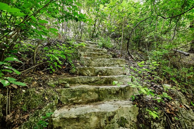 TBD McGregor LN, Dripping Springs, TX 78620