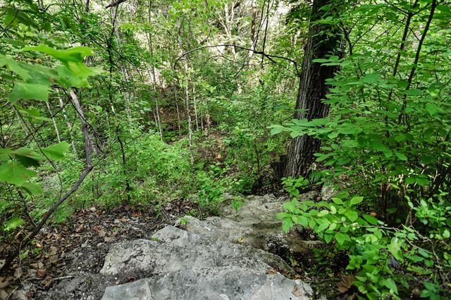 TBD McGregor LN, Dripping Springs, TX 78620