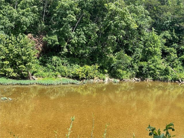 Stoneriver Lane, Berryville, AR 72616