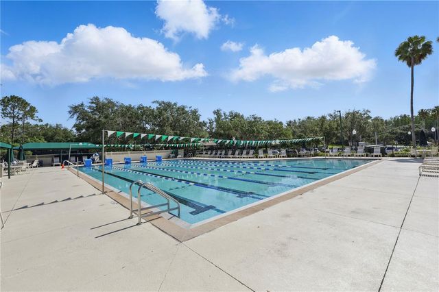 10232 ESTUARY DRIVE, Tampa, FL 33647