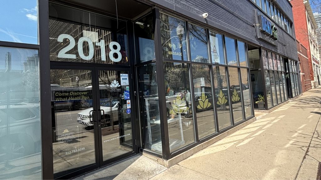 2018 S Michigan Avenue 1, Chicago, IL 60616 — exterior