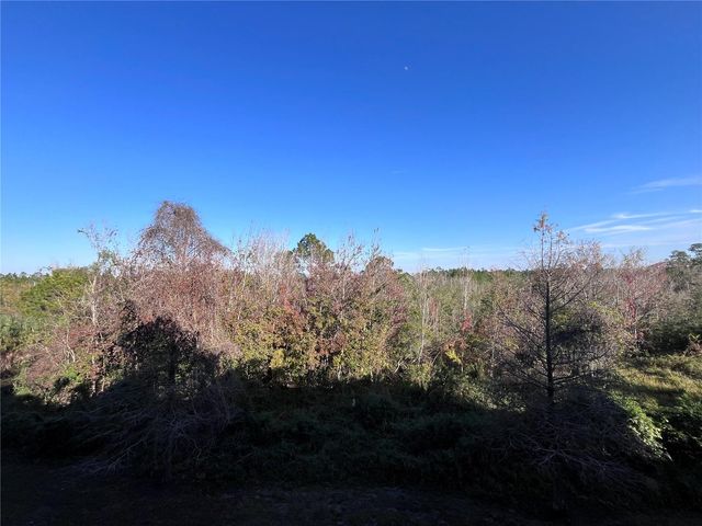 3175 FELTRIM PLACE 302, Kissimmee, FL 34747