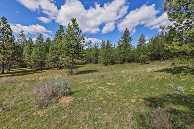 NKA Lower Weaver Way, Deer Park, WA 99006