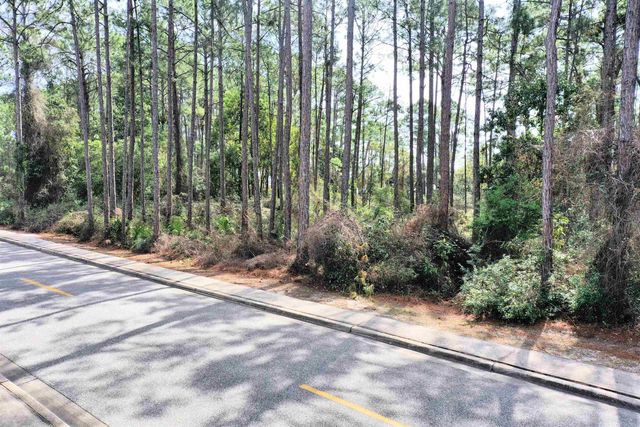 128 Royal Tern Way, Carrabelle, FL 32322