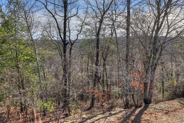 Lot 112 Fawn Way, Mineral Bluff, GA 30536