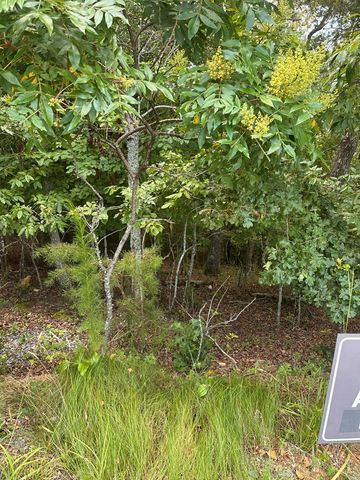 Lot 112 Fawn Way, Mineral Bluff, GA 30536