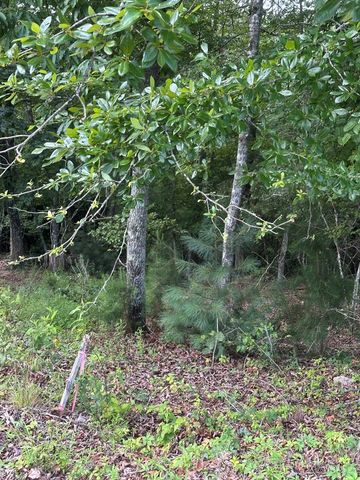 Lot 112 Fawn Way, Mineral Bluff, GA 30536