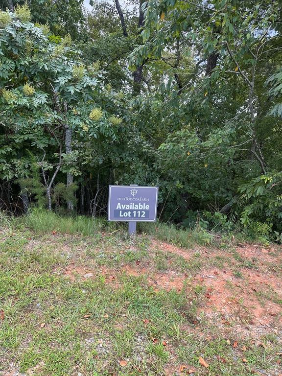 Lot 112 Fawn Way, Mineral Bluff, GA 30536