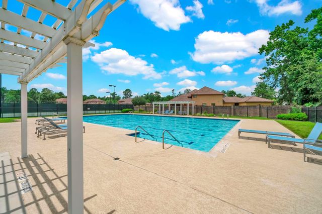 26006 Carolina Cherry Court, Spring, TX 77389