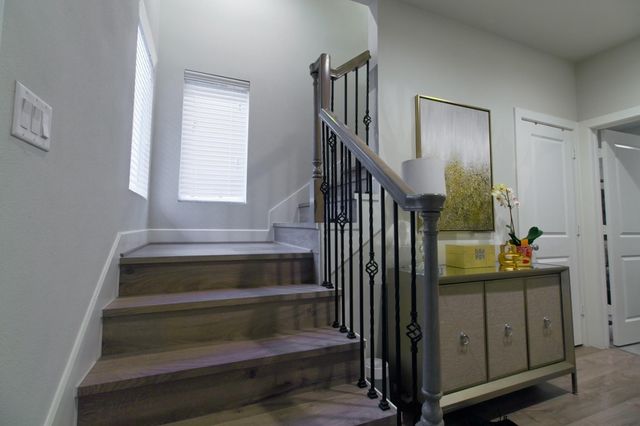 2204 Penny Derrick Lane, Houston, TX 77055