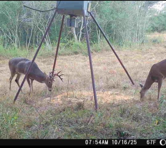 0 County Road 325, Louise, TX 77455