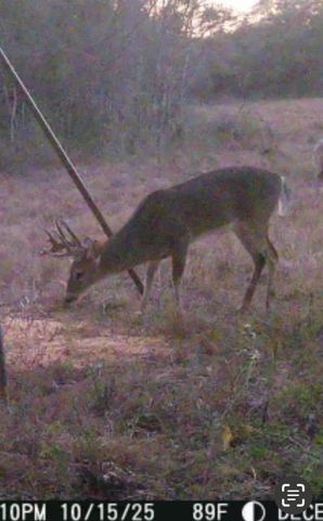 0 County Road 325, Louise, TX 77455