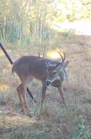 0 County Road 325, Louise, TX 77455