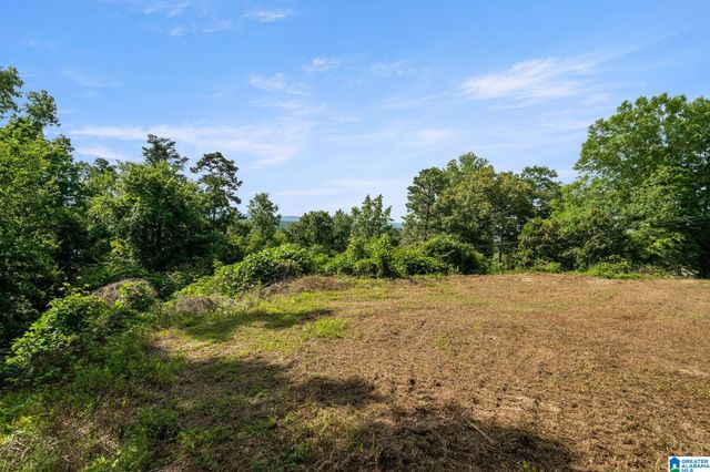369 VESCLUB DRIVE, Vestavia Hills, AL 35216