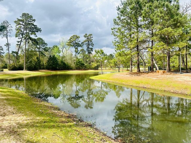 6 Gentle Branch Place, Tomball, TX 77375