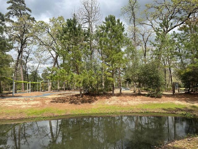 6 Gentle Branch Place, Tomball, TX 77375