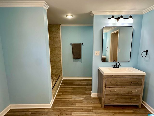 544 INLAND LAKE ROAD, Springville, AL 35146