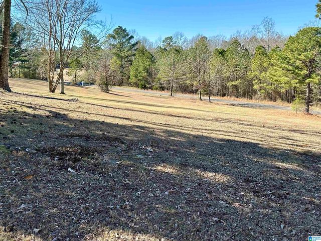 544 INLAND LAKE ROAD, Springville, AL 35146
