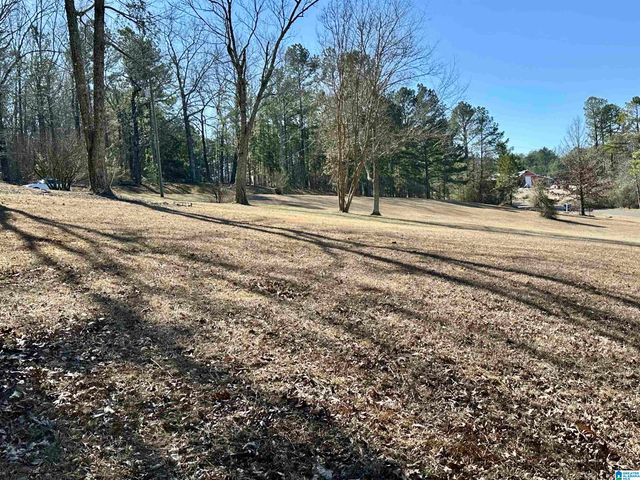 544 INLAND LAKE ROAD, Springville, AL 35146