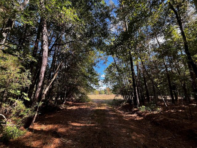 0 County Road 2314, Dayton, TX 77535