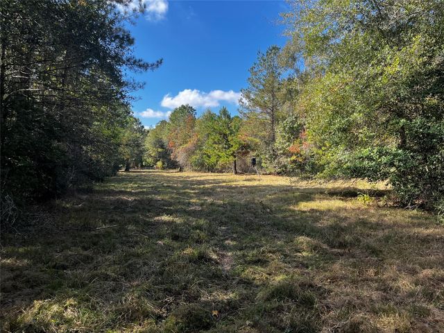 0 County Road 2314, Dayton, TX 77535