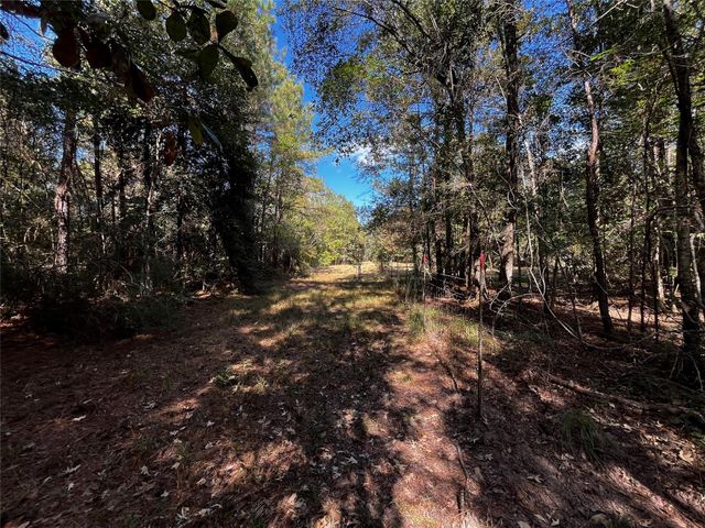 0 County Road 2314, Dayton, TX 77535