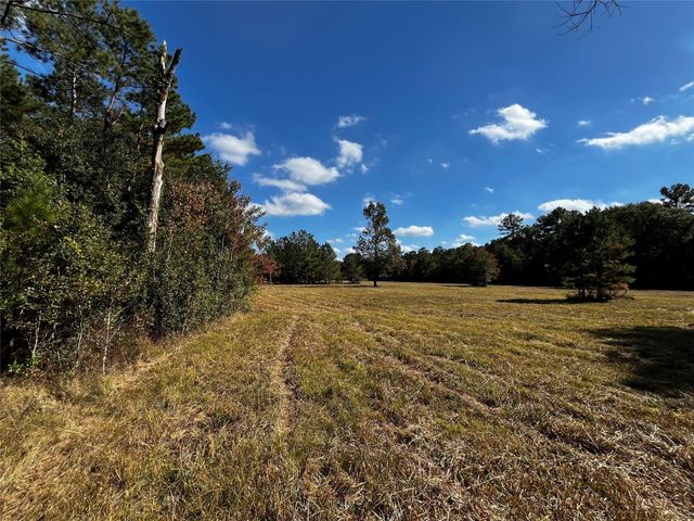 0 County Road 2314, Dayton, TX 77535