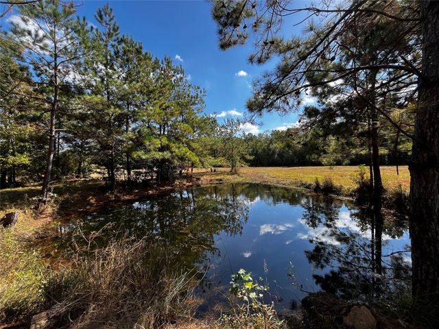 0 County Road 2314, Dayton, TX 77535