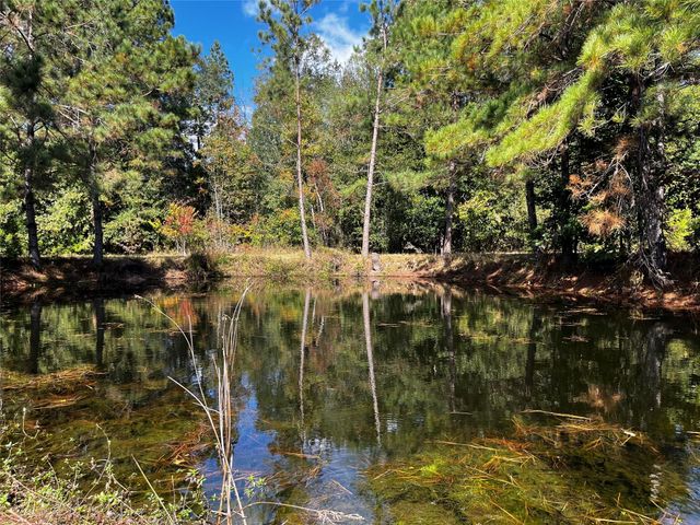 0 County Road 2314, Dayton, TX 77535